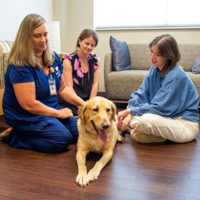 Veterinary social worker meeting with a veterinarian, a client and their dog