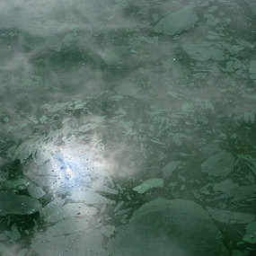 Photograph of the oily surface of green water of an Alabama catfish pond