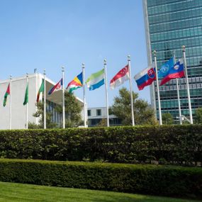 World flags