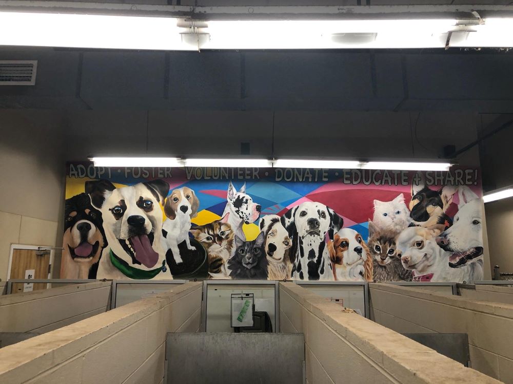 Mural featuring dogs and cats up for adoption