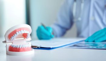 A doctor working beside a model of a mouth full of teeth