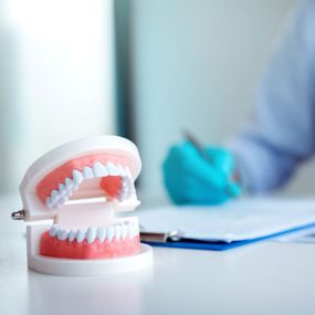 A doctor working beside a model of a mouth full of teeth