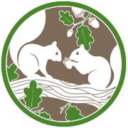 Icon with two angry squirrels
