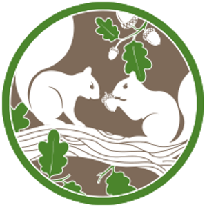 Icon of two angry squirrels