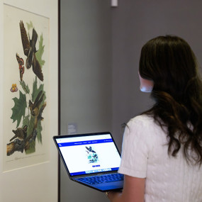 Katelyn Zeeveld compares artwork in gallery with image on her laptop