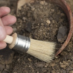 Hand holding a brush sweeping dirt away from a piece of pottery in the ground