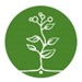 Green circle with white outlined plant icon in the center