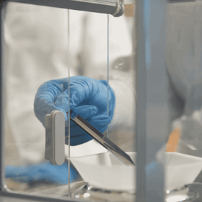 gloved hand shown in laboratory experiment setting