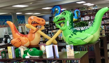 books in the library