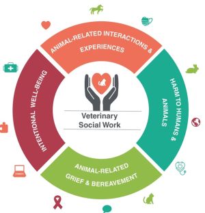 Colorful circular graphic with core areas for veterinary social workers including intentional well-being, animal related interactions and experiences, harm to humans and animals and animal related grief and bereavement