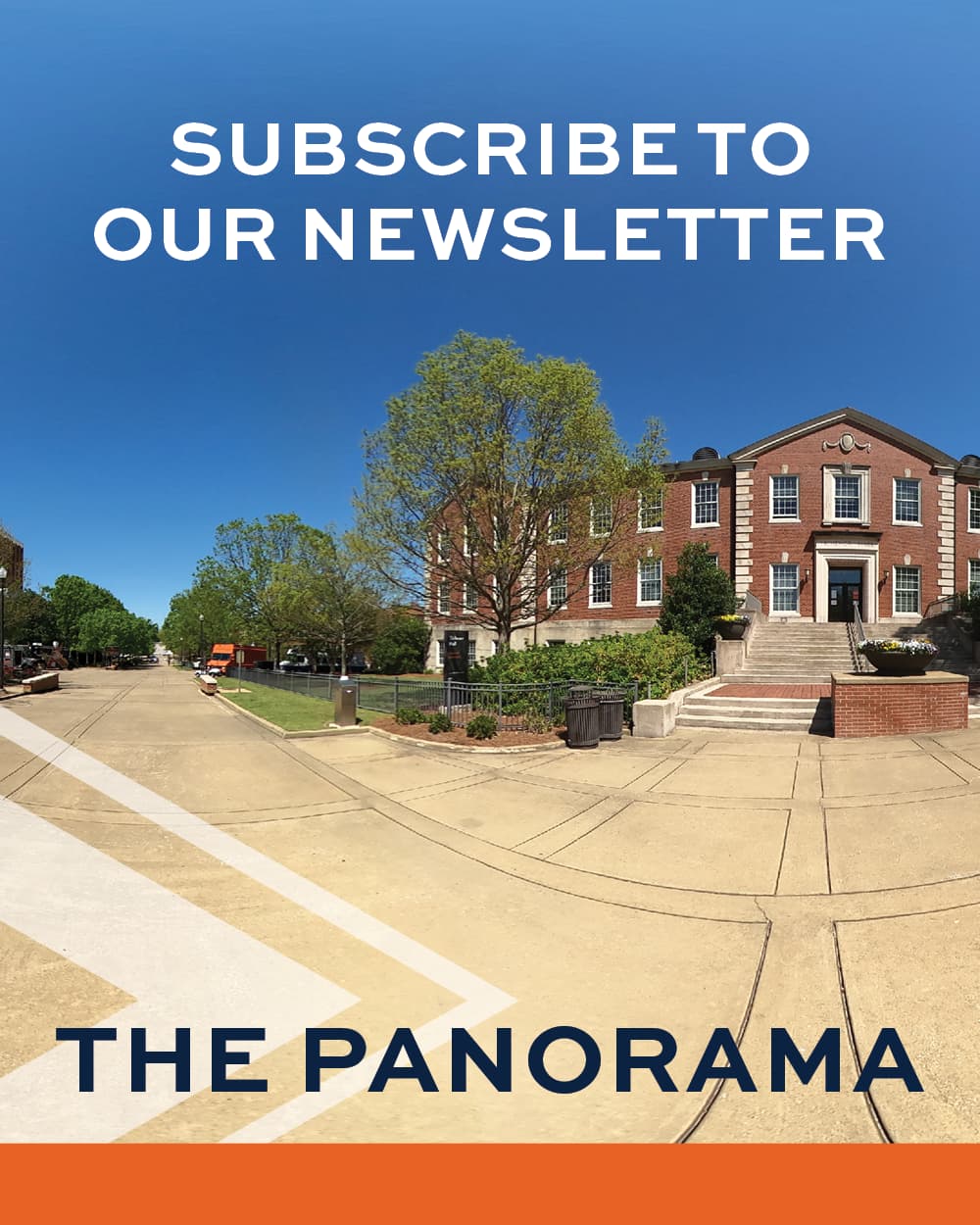 Subscribe to our newsletter The Panorama