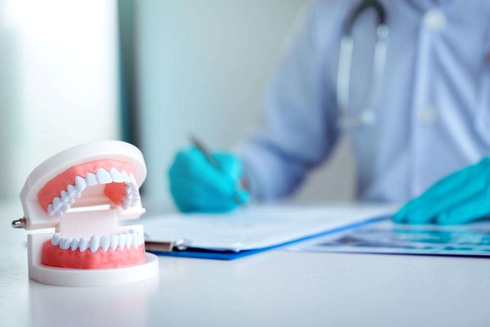 dentist working beside a model of teeth