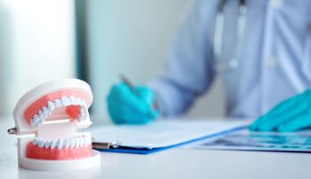 dentist working beside a model of teeth