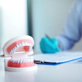 dentist working beside a model of teeth