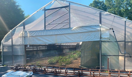 A greenhouse at Mayim Farm