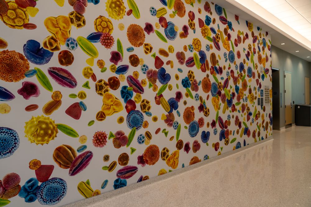 Mural depicting colorful microscope images of pollen
