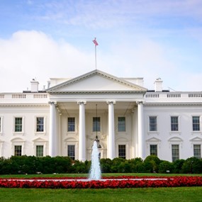 The White House