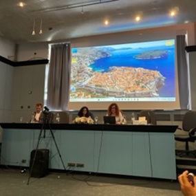 Person giving a presentation