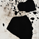 Kathleen Thum | Covering Carbon