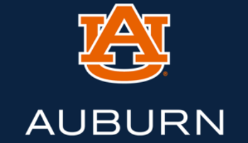 Aviation logo