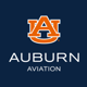 Aviation logo