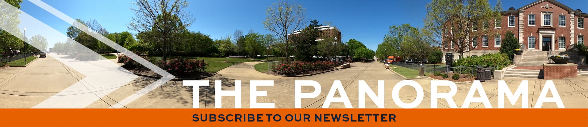 Subscribe to our newsletter The Panorama