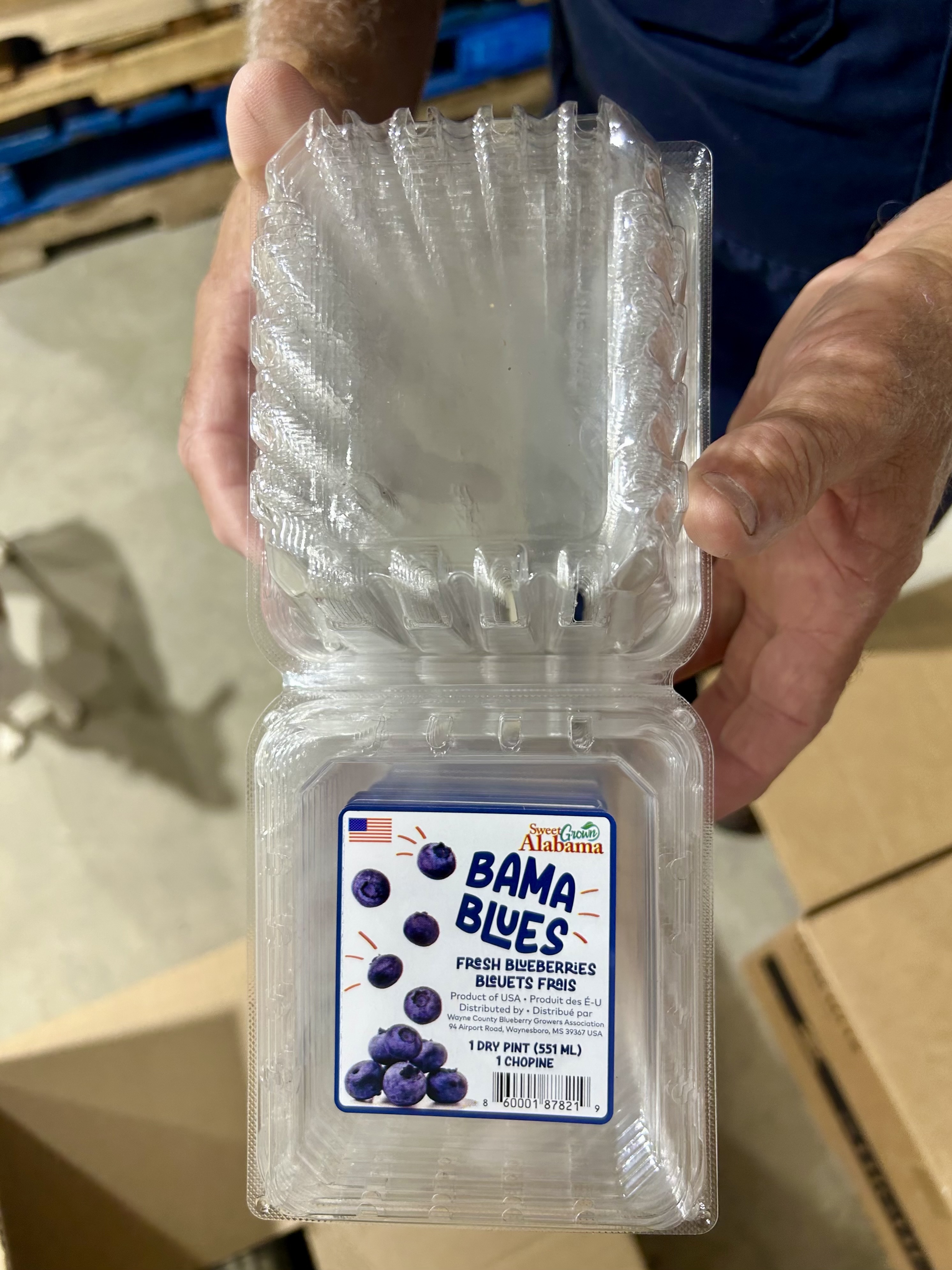The “Bama Blues” packaging for berries grown at Ferguson Farms was designed by Katie Ferguson.