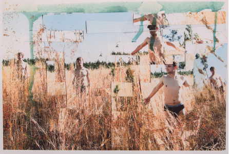 collage of people running through a field