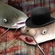 two catfish, one wearing a black top hat and glasses