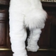 man and rabbit